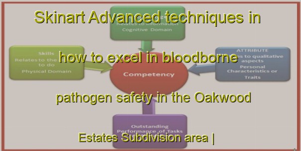 Skinart Advanced techniques in how to excel in bloodborne pathogen safety in the Oakwood Estates Subdivision area | BbpTraining | BbpClasses | SkinartTraining-United States